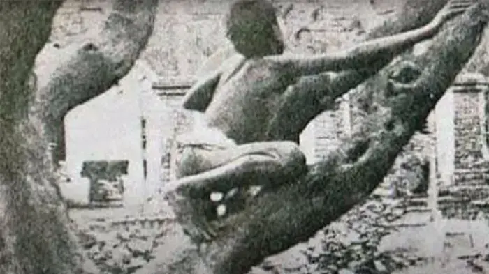 כך נראה מוגלי האמיתי כשרק נמצא