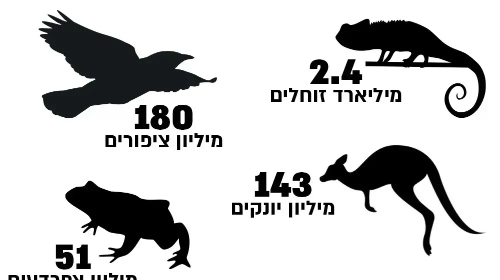 מספרי בעלי החיים שנספו בשריפות באוסטרליה מספרי בעלי החיים שנספו בשריפות באוסטרליה