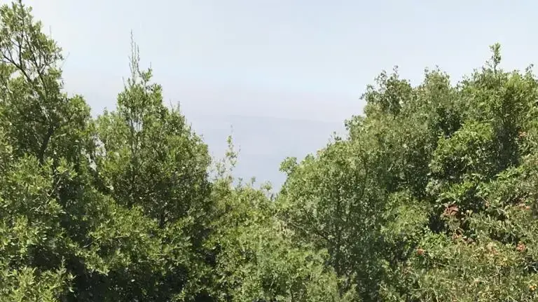 כוחות יוניפי"ל בזירה שבה הסתתרה חוליית החיזבאללה 29 ביולי 2020 כוחות יוניפי"ל בזירה שבה הסתתרה חוליית החיזבאללה 29 ביולי 2020