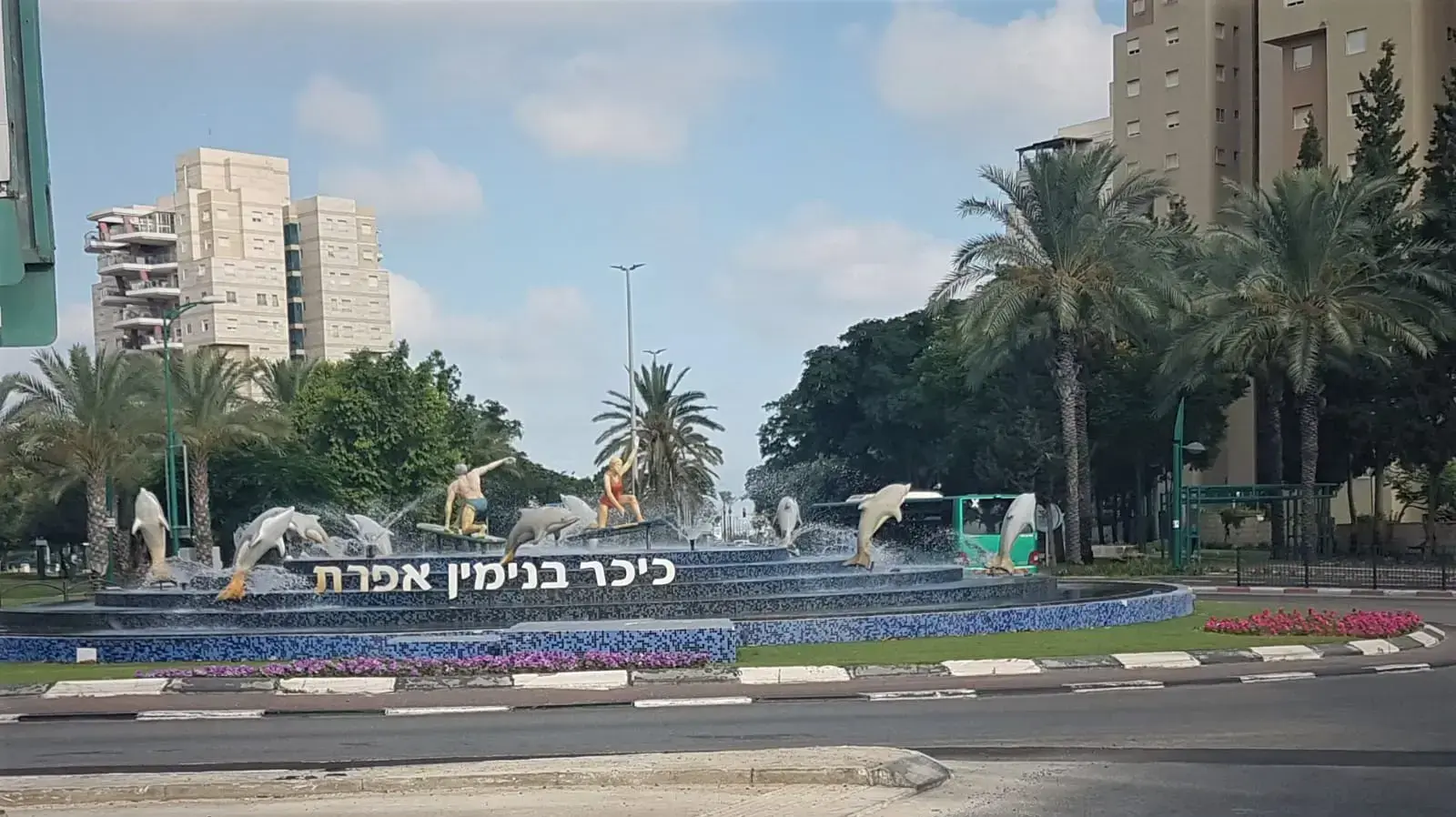 מעגל תנועה דולפינים מעגל תנועה דולפינים