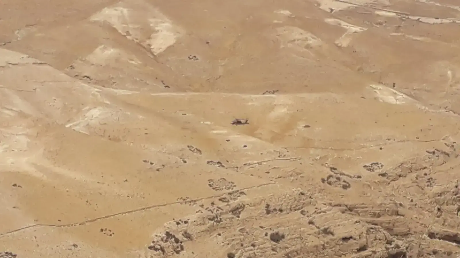 פעולות החילוץ והאיתור של בת ה-20 שנהרגה במהלך טיול בוואדי קלט - 31 ליולי 2020