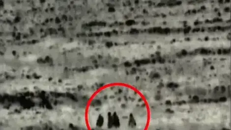חוליית המחבלים שחוסלה בגבול סוריה חוליית המחבלים שחוסלה בגבול סוריה