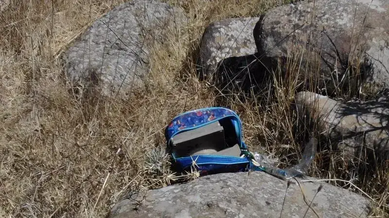 בהמשך לסיכול פיגוע המטען בדרום רמת הגולן התקיים סיור באזור הנחת המטען. בסיור נמצאו נשק וכן תיק ובתוכו מספר מטענים שהיו מוכנים להפעלה נגד כוח צה״ל, במרחק 25 מטרים מגדר המערכת בשטח ישראל בהמשך לסיכול פיגוע המטען בדרום רמת הגולן התקיים סיור באזור הנחת המטען. בסיור נמצאו נשק וכן תיק ובתוכו מספר מטענים שהיו מוכנים להפעלה נגד כוח צה״ל, במרחק 25 מטרים מגדר המערכת בשטח ישראל