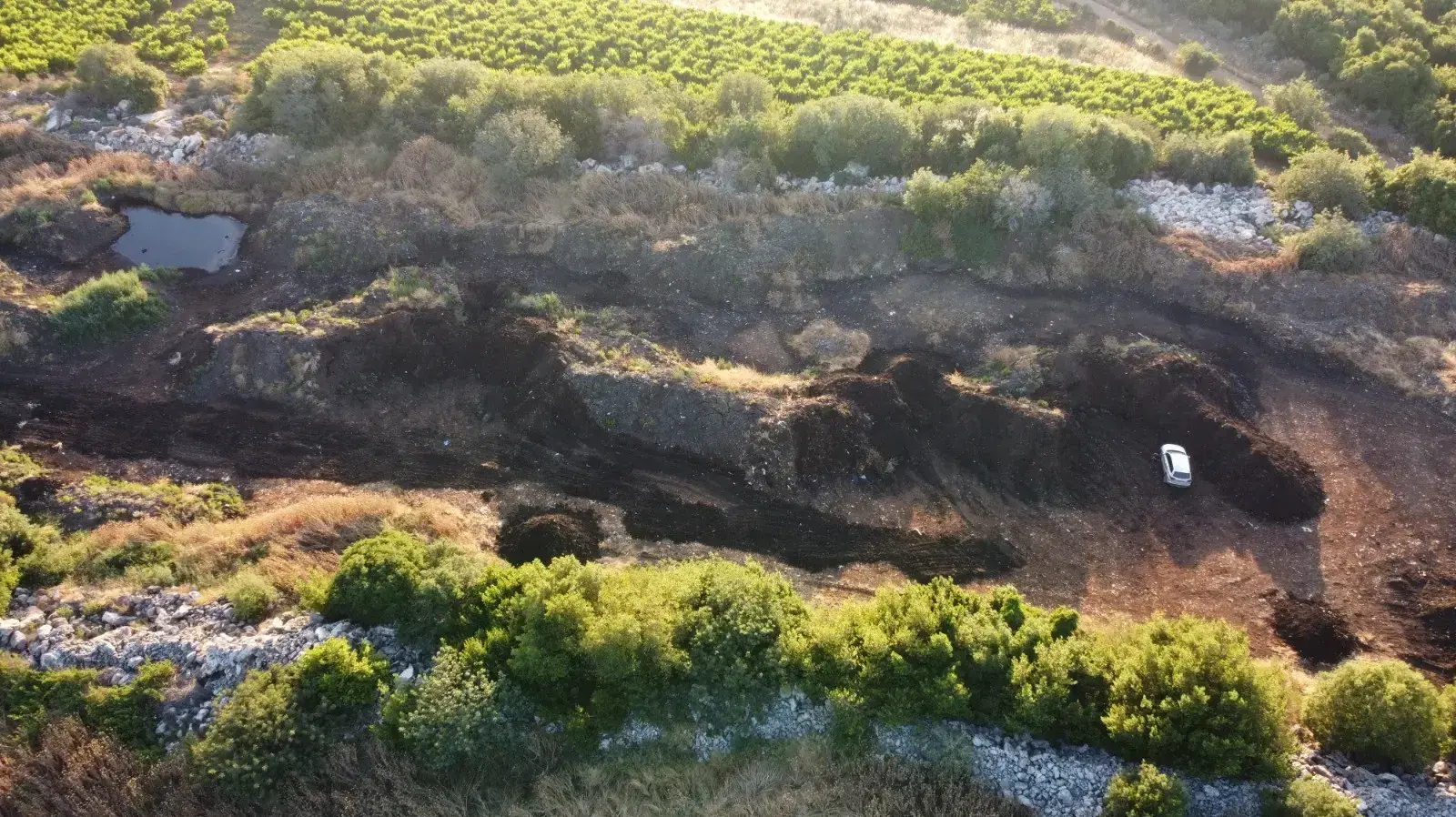 מכת זבובים במושב עבדון מכת זבובים במושב עבדון
