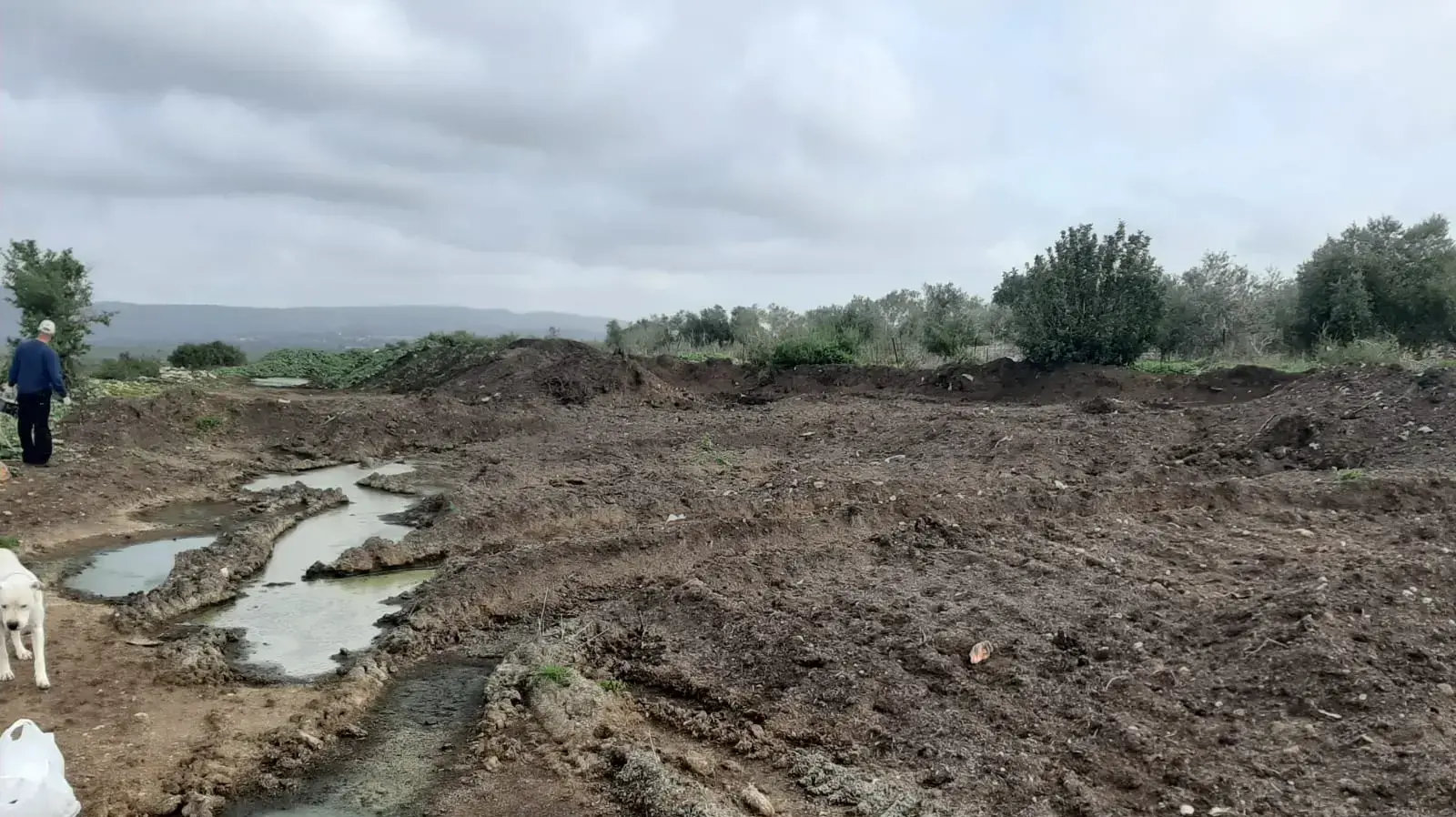 ערימות פרש בעלי חיים בצפון ערימות פרש בעלי חיים בצפון