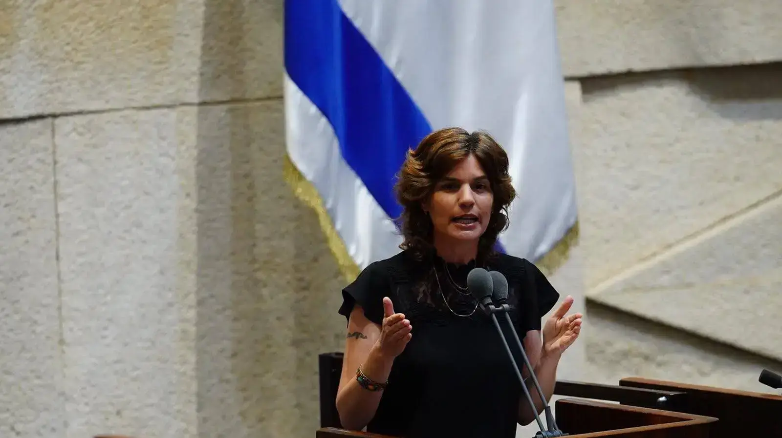 תמר זנדברג בדיון במליאת הכנסת, 5 באוגוסט 2020