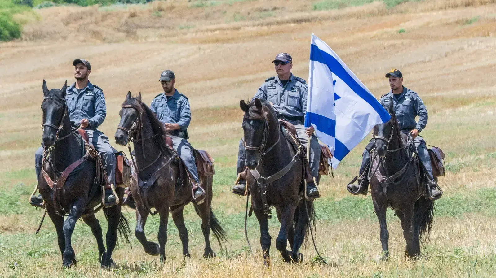 שימוש של שוטרי משטרת ישראל בפרשים 