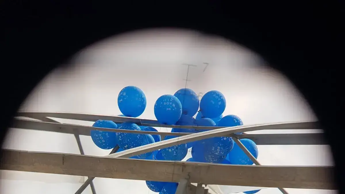 בלוני תבערה במועצה האזורית אשכול, 8 אוגוסט 2020 בלוני תבערה במועצה האזורית אשכול, 8 אוגוסט 2020
