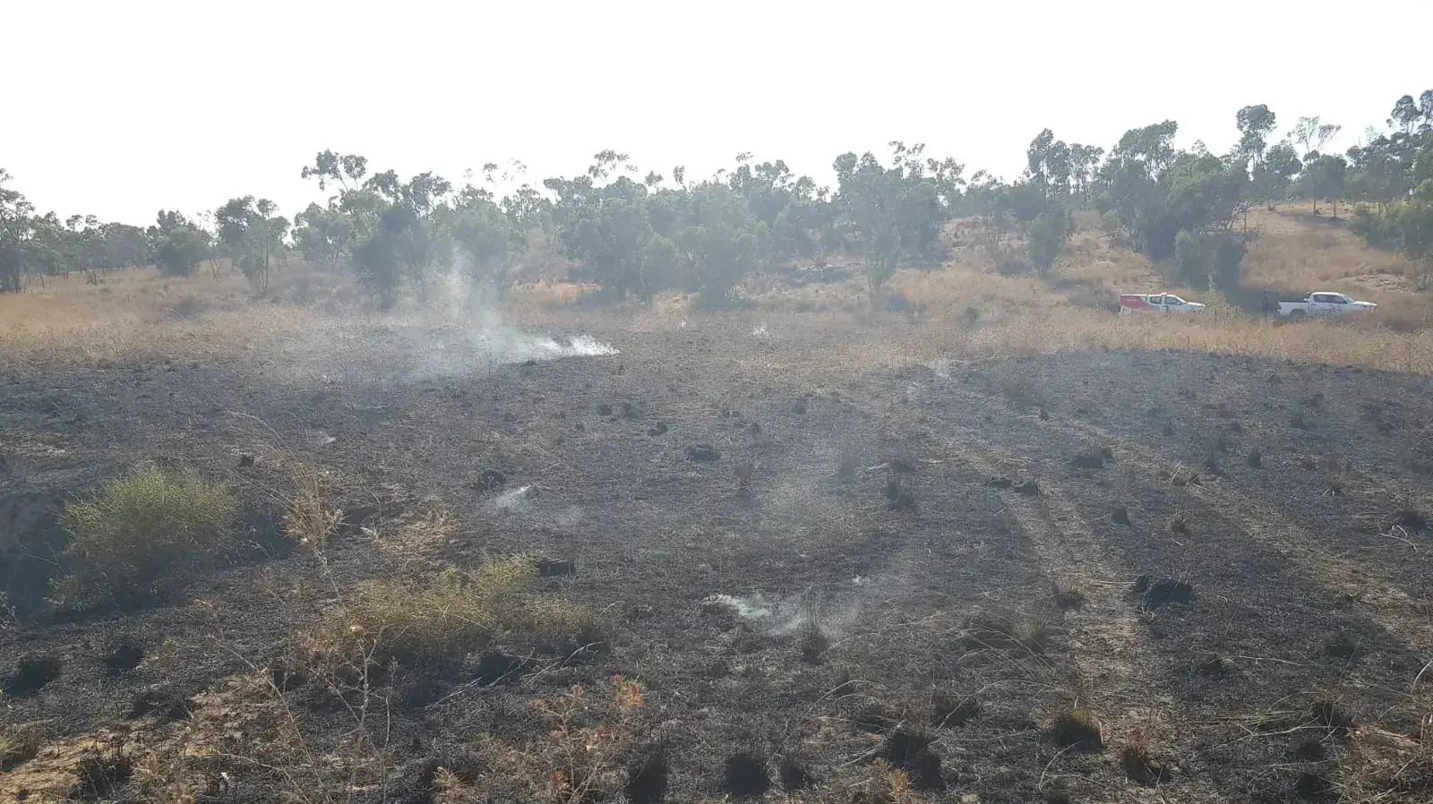 שריפה בשמורת הטבע בארי בעקבות בלון תבערה 9 באוגוסט 2020 שריפה בשמורת הטבע בארי בעקבות בלון תבערה 9 באוגוסט 2020