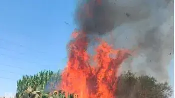 שריפות בעקבות שיגור בלוני תבערה לעוטף עזה 10 באוגוסט 2020 שריפות בעקבות שיגור בלוני תבערה לעוטף עזה 10 באוגוסט 2020