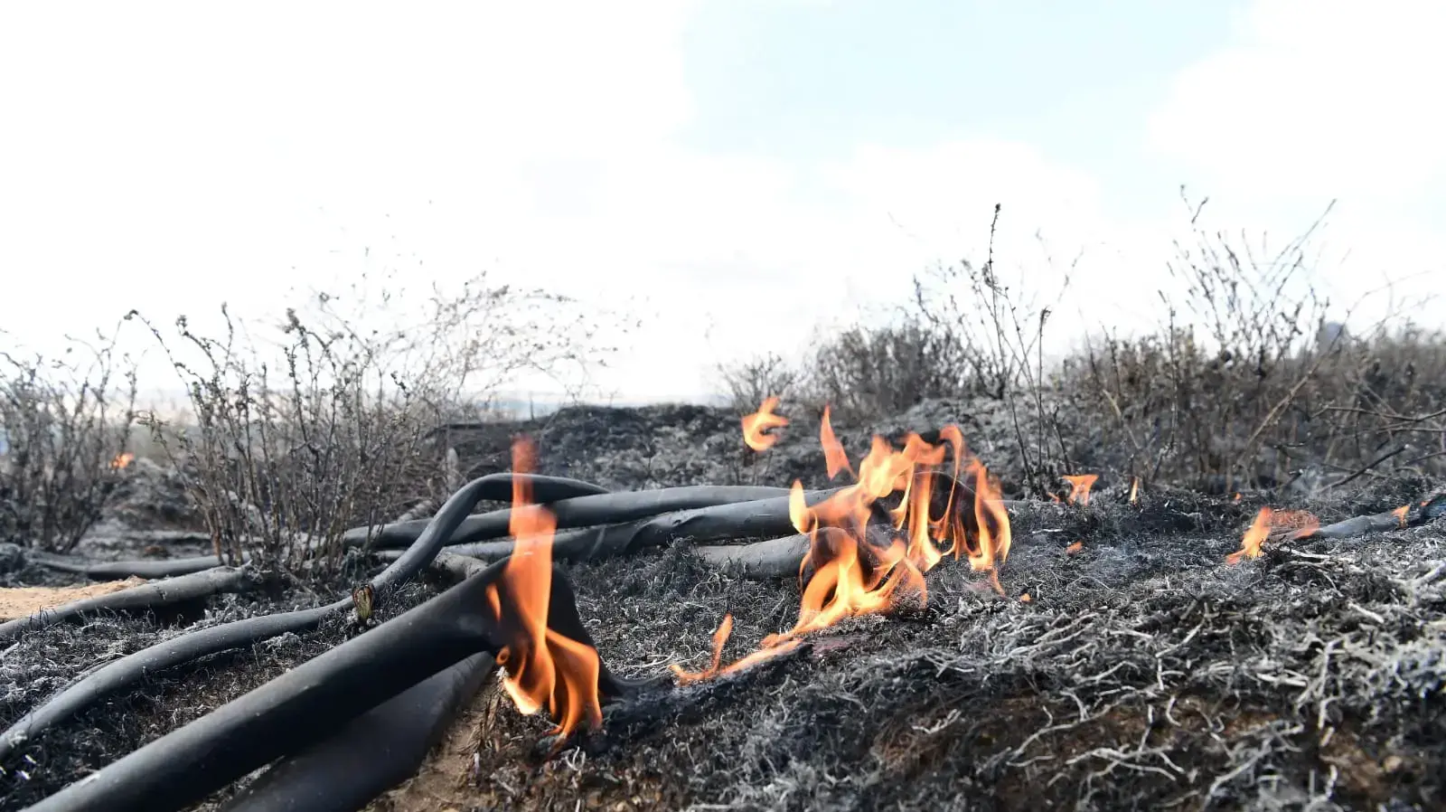 שריפה בעקבות בלוני תבערה מרצועת עזה לשדות ארז 11 באוגוסט 2020 שריפה בעקבות בלוני תבערה מרצועת עזה לשדות ארז 11 באוגוסט 2020