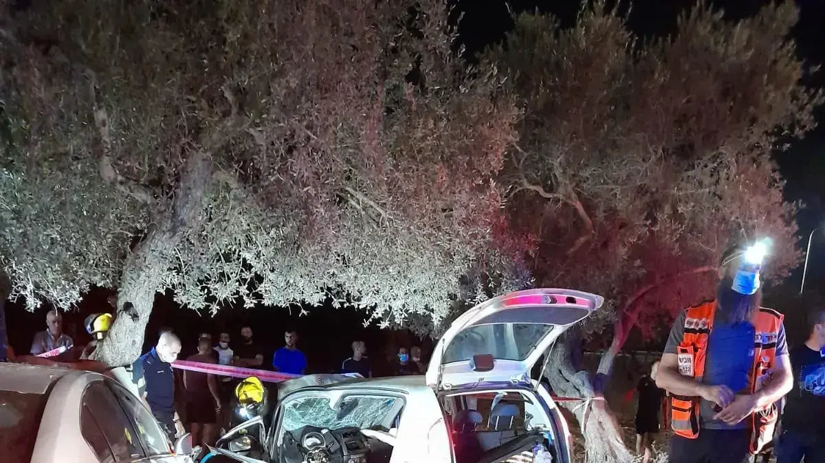 זירת תאונת הדרכים בה מתה תינוקת בת שנה בצומת שעב בצפון הארץ. בתאונה נפצעו אמה בת 29 ואחייה בני שלוש וחמש באורח קשה. האב בן 27 נפצע בינוני. 14 באוגוסט 2020 זירת תאונת הדרכים בה מתה תינוקת בת שנה בצומת שעב בצפון הארץ. בתאונה נפצעו אמה בת 29 ואחייה בני שלוש וחמש באורח קשה. האב בן 27 נפצע בינוני. 14 באוגוסט 2020