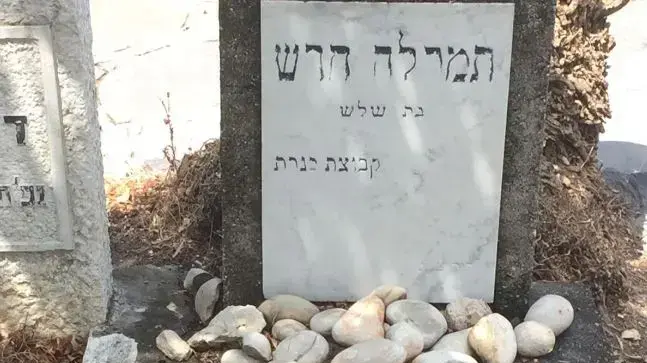 אריחים נעקרו מקברים בבית העלמין כנרת, 16 באוגוסט 2020