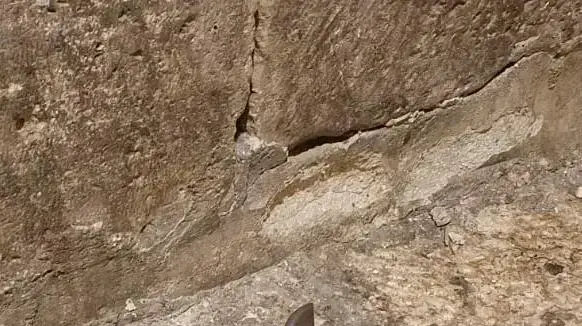 הסכין ששימשה את המחבל במהלך פיגוע הדקירה בירושלים 17 באוגוסט 2020 הסכין ששימשה את המחבל במהלך פיגוע הדקירה בירושלים 17 באוגוסט 2020