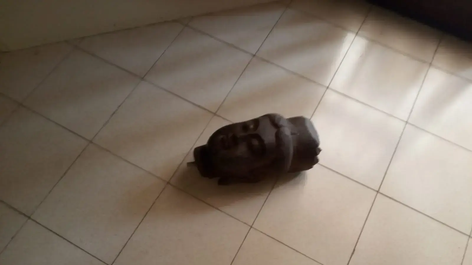 חדר תצוגת הקבע של אוסף מוזיאון וילפריד ישראל בקיבוץ הזורע לאחר שנפרץ 19 באוגוסט 2020 חדר תצוגת הקבע של אוסף מוזיאון וילפריד ישראל בקיבוץ הזורע לאחר שנפרץ 19 באוגוסט 2020