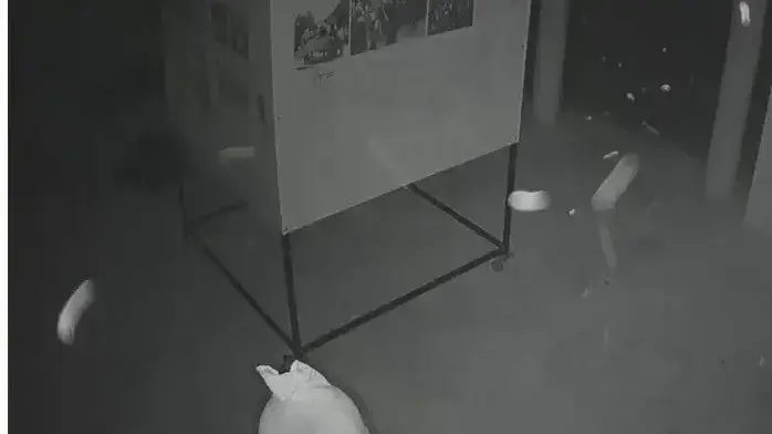 גניבת פריטים נדירים ממוזיאון וילפריד ישראל שבקיבוץ הזורע, 19 באוגוסט 2020