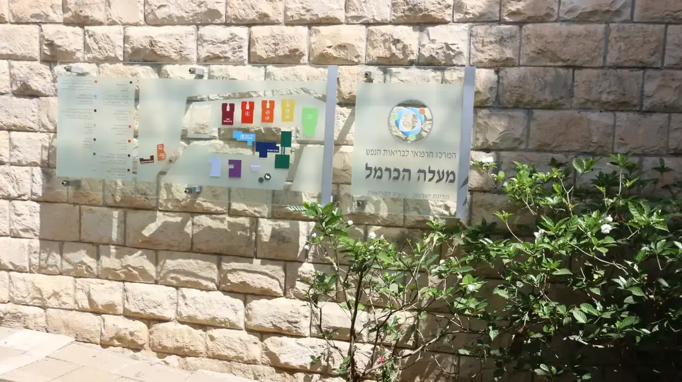 מירי אלגביש אחראית על תחום ריפוי בעיסוק במרכז רפואי מעלה הכרמל, טירת כרמל, 27 באוגוסט 2020 מירי אלגביש אחראית על תחום ריפוי בעיסוק במרכז רפואי מעלה הכרמל, טירת כרמל, 27 באוגוסט 2020