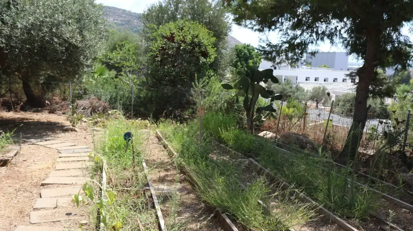 מירי אלגביש אחראית על תחום ריפוי בעיסוק במרכז רפואי מעלה הכרמל, טירת כרמל, 27 באוגוסט 2020 מירי אלגביש אחראית על תחום ריפוי בעיסוק במרכז רפואי מעלה הכרמל, טירת כרמל, 27 באוגוסט 2020