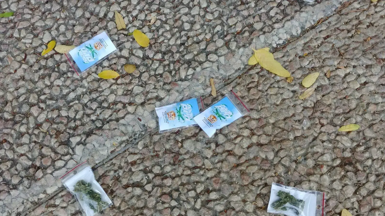 שקיות קנאביס שפוזרו באמצעות רחפן בכיכר רבין בתל אביב. 03 בספטמבר 2020 שקיות קנאביס שפוזרו באמצעות רחפן בכיכר רבין בתל אביב. 03 בספטמבר 2020