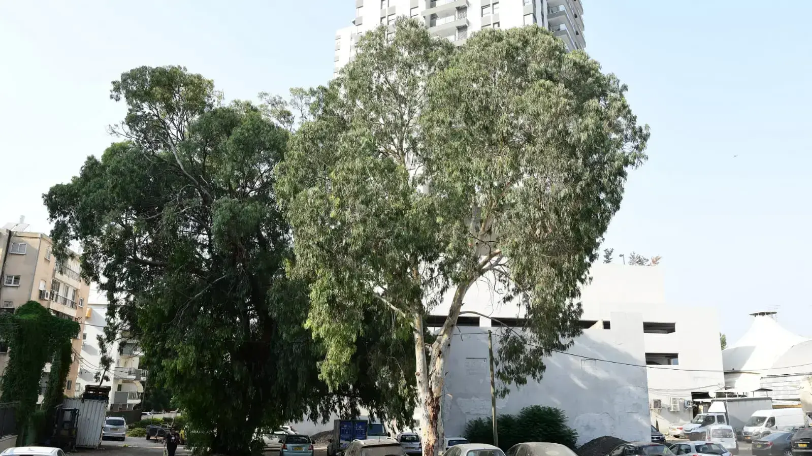 זירת החשד לאונס |
פלסטיני וישראלי ביצעו את זממם באישה בחניון בפתח תקווה 3 בספטמבר 2020 זירת החשד לאונס |
פלסטיני וישראלי ביצעו את זממם באישה בחניון בפתח תקווה 3 בספטמבר 2020
