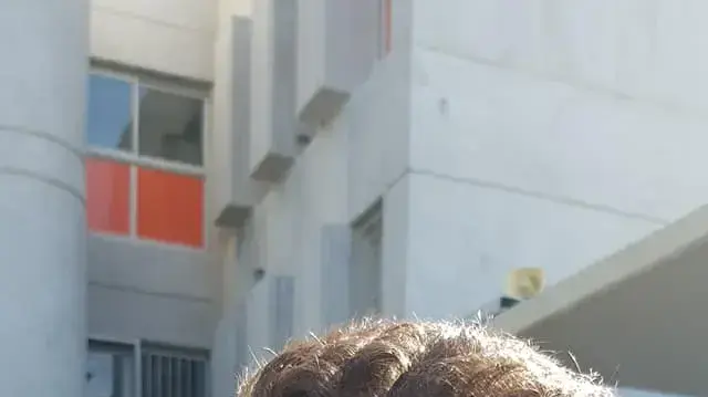 אריאל יואב צפריר בן ה-19 מהיישוב ברקן, הצעיר שהתמוטט ומת במסיבת טבע בשמורת פורה בנגב. 5 באוגוסט 2020 אריאל יואב צפריר בן ה-19 מהיישוב ברקן, הצעיר שהתמוטט ומת במסיבת טבע בשמורת פורה בנגב. 5 באוגוסט 2020