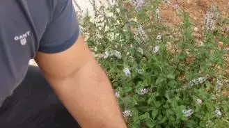 נשק מסוג קרלו שאותר על- ידי המשטרה בתיק בית ספר של ילדה פלסטינית
נשק מסוג קרלו שאותר על- ידי המשטרה בתיק בית ספר של ילדה פלסטינית