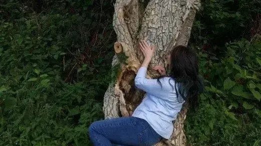 אשה שהתחתנה עם עץ אשה שהתחתנה עם עץ