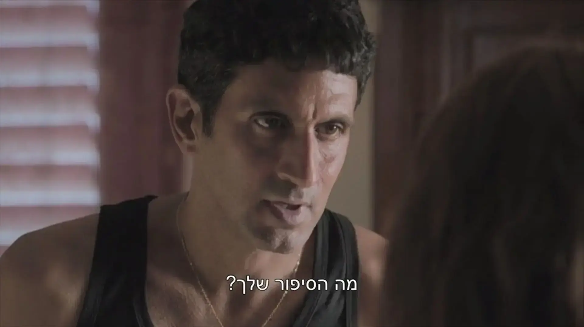 "האישה שגנבה 250 מיליון שקלים", צחי הלוי "האישה שגנבה 250 מיליון שקלים", צחי הלוי