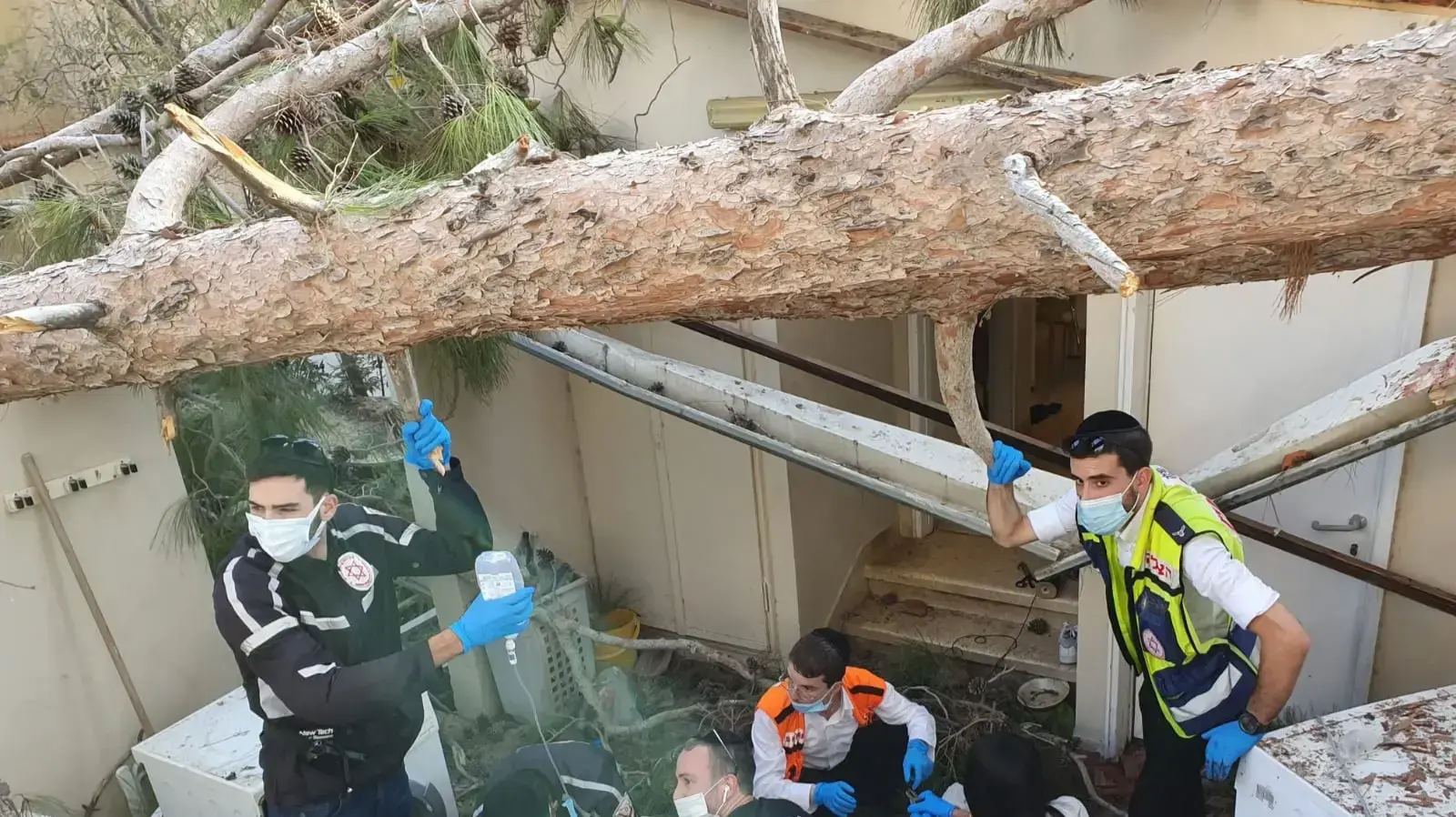 זירת האירוע בו נפצעה צעירה בת 19 באורח קשה בשל עץ שקרס לחצר ביתה בבני ברק. 22 בספטמבר 2020 זירת האירוע בו נפצעה צעירה בת 19 באורח קשה בשל עץ שקרס לחצר ביתה בבני ברק. 22 בספטמבר 2020