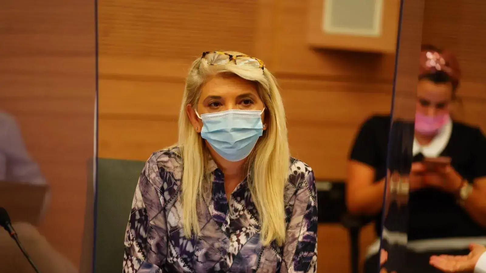 דיון ועדת החוקה של הכנסת בדבר קיומן של הפגנות, 29 בספטמבר 2020 דיון ועדת החוקה של הכנסת בדבר קיומן של הפגנות, 29 בספטמבר 2020