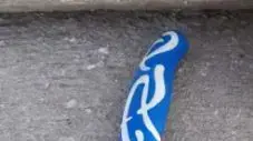 הסכין ששימשה את המחבל בפיגוע הדקירה בצומת העוקפים סמוך לחברון 5 באוקטובר 2020 הסכין ששימשה את המחבל בפיגוע הדקירה בצומת העוקפים סמוך לחברון 5 באוקטובר 2020