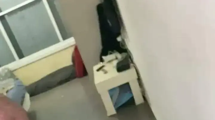 אלן מוריסון הגבר שהתעלל בכלב שלו