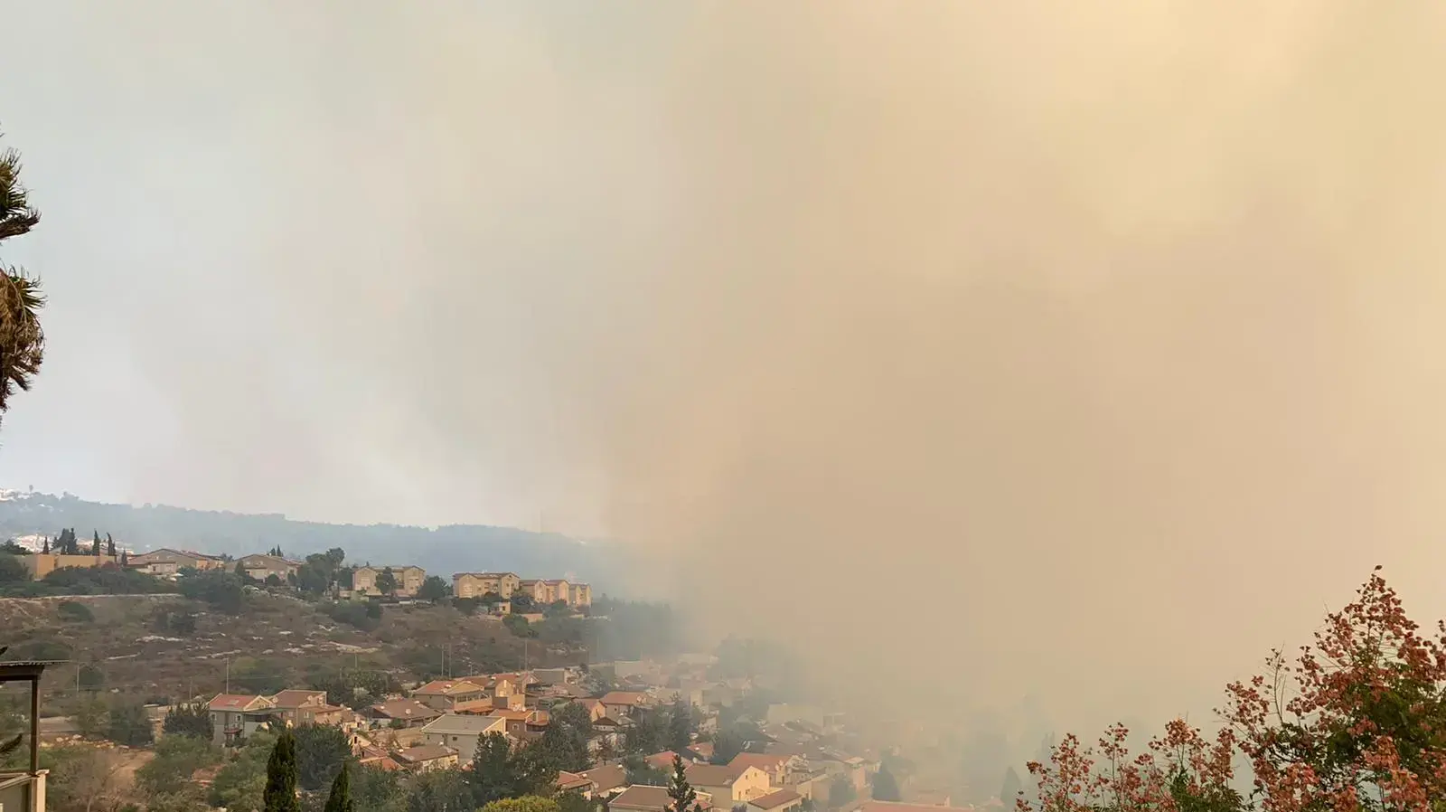שריפה בנוף הגליל, 9 באוקטובר 2020 שריפה בנוף הגליל, 9 באוקטובר 2020