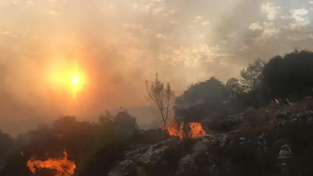 שריפה גדולה ביער מורדות נצרת. 9 באוקטובר 2020 שריפה גדולה ביער מורדות נצרת. 9 באוקטובר 2020