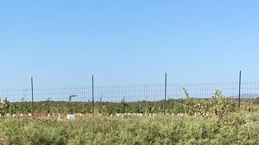 חיפושים אחר ילד בן 3 בנחל ציפורי, 12 באוקטובר 2020 חיפושים אחר ילד בן 3 בנחל ציפורי, 12 באוקטובר 2020