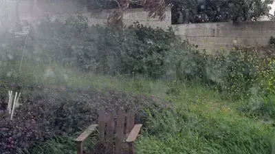 רוח בקיבוץ כרמיה (דניאל כהן)