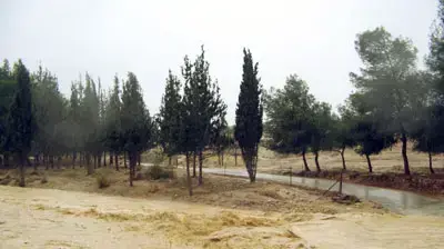 הצפה בכניסה לאגם ירוחם (דניאלה חזן)