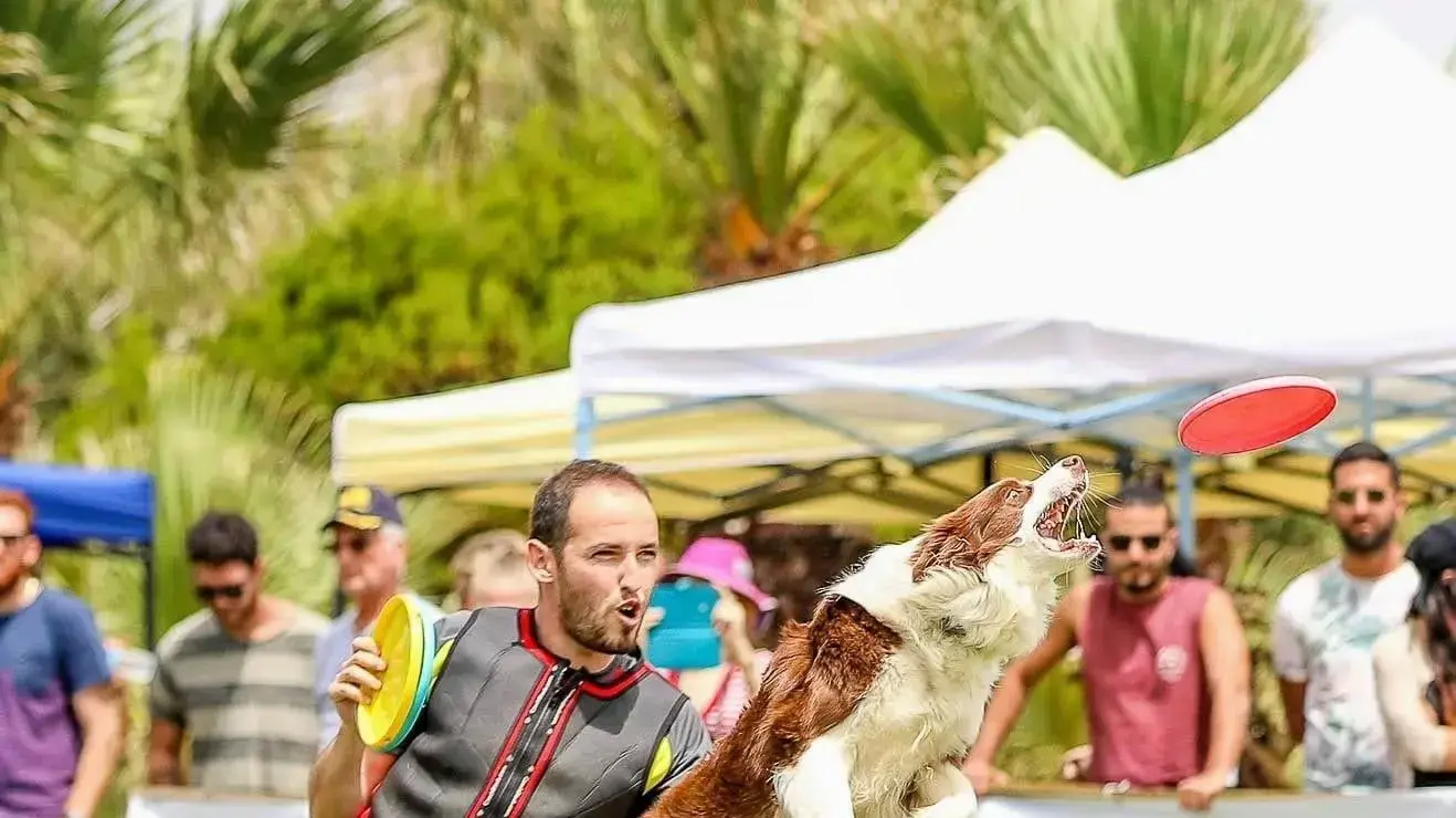 יאן רוזנברג יאן רוזנברג
