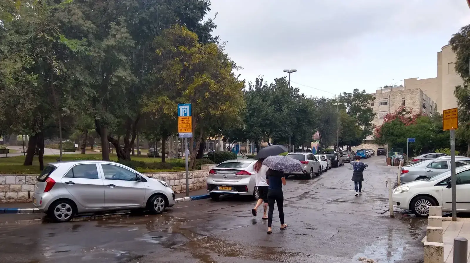 גשם ראשון בירושלים, 20 באוקטובר 2020 גשם ראשון בירושלים, 20 באוקטובר 2020