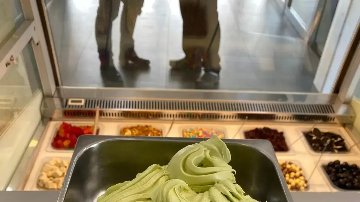 אבוקדו אבוקדו