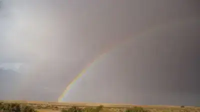 מאמגר המים בניצנה מתמלא (דותן ברגר)