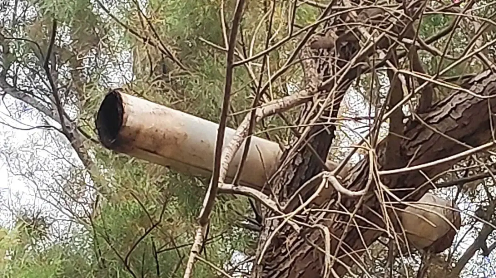 בלון תבערה שנחת במועצה אזורית שער הנגב. 1 בנובמבר 2020 בלון תבערה שנחת במועצה אזורית שער הנגב. 1 בנובמבר 2020