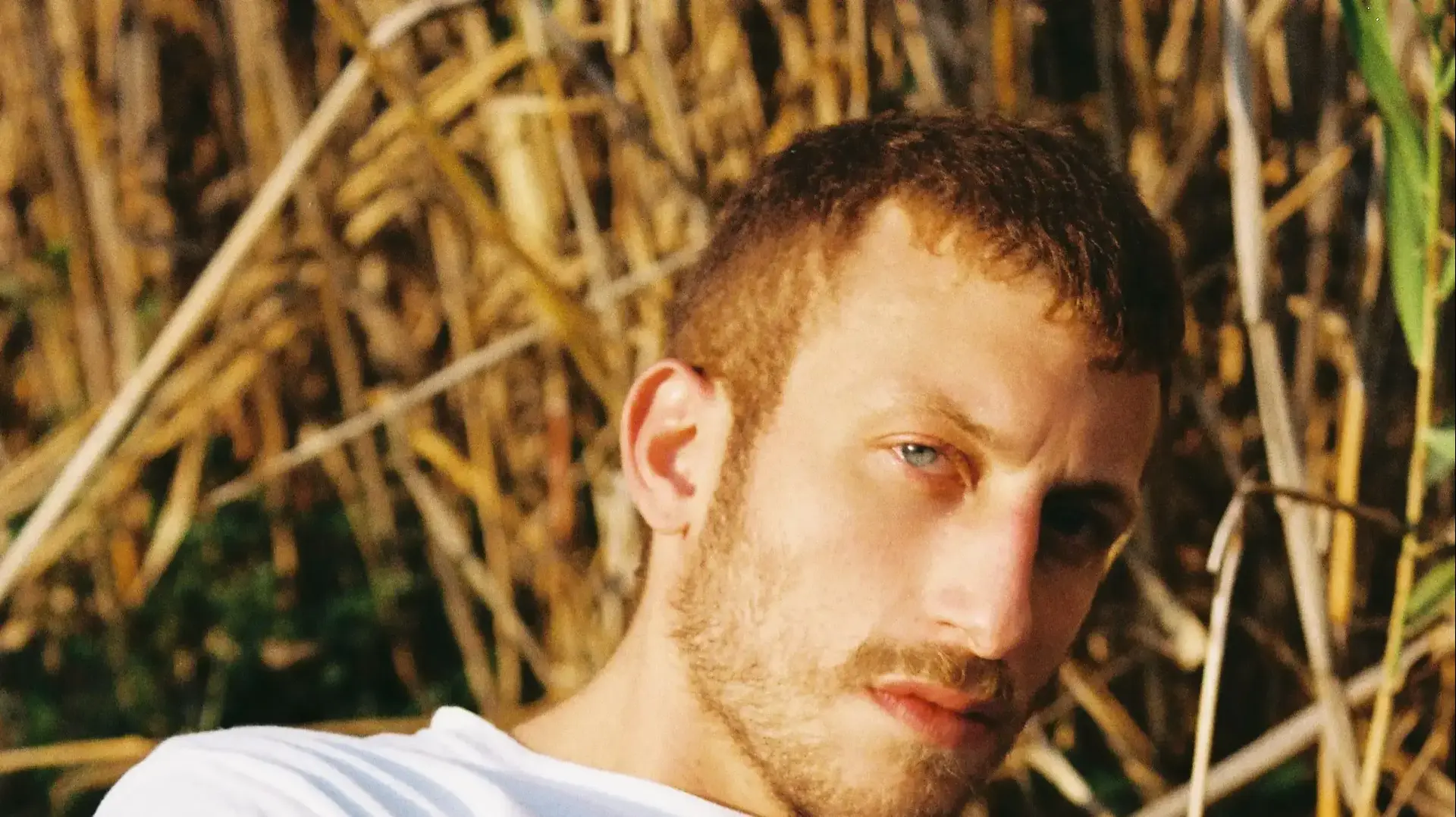 עומר פרלמן עומר פרלמן