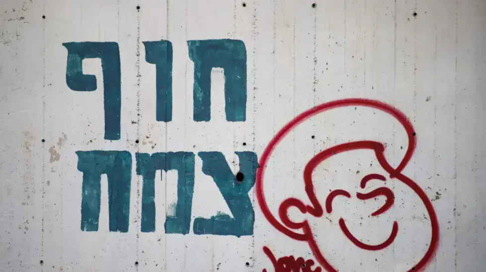 חוץ צמח, כנרת 