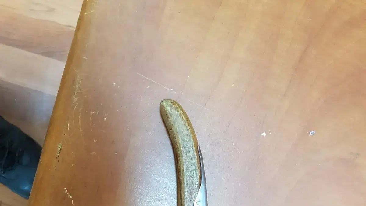 סכין שנמצא על שני נערים פלסטינים ליד מערת המכפלה בחברון. 22 בנובמבר 2020 סכין שנמצא על שני נערים פלסטינים ליד מערת המכפלה בחברון. 22 בנובמבר 2020