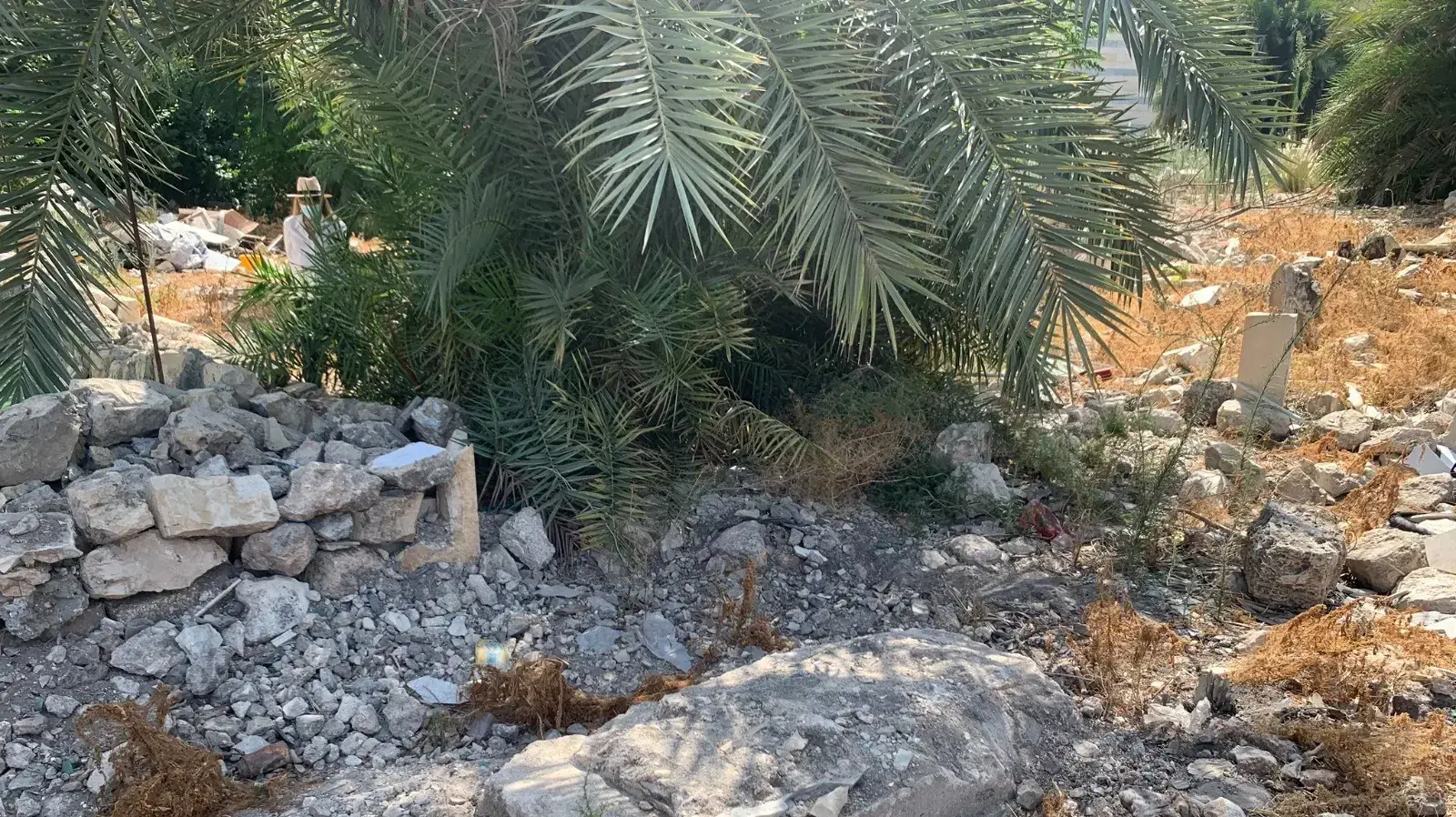 מיקום מצבה אלטרנטיבית באזור בית העלמין המוסלמי בכפר סמיר מיקום מצבה אלטרנטיבית באזור בית העלמין המוסלמי בכפר סמיר