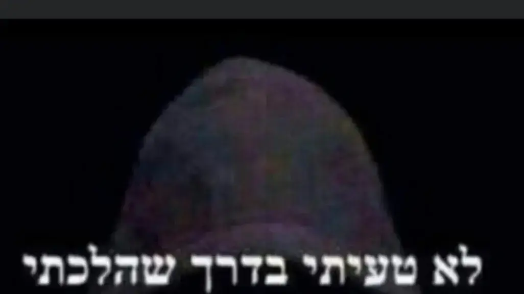 פוסט שהעלתה לפייסבוק נג'אח מנסור שנרצחה על ידי בן זוגה בקריית חיים. 24 בנובמבר 2020 פוסט שהעלתה לפייסבוק נג'אח מנסור שנרצחה על ידי בן זוגה בקריית חיים. 24 בנובמבר 2020