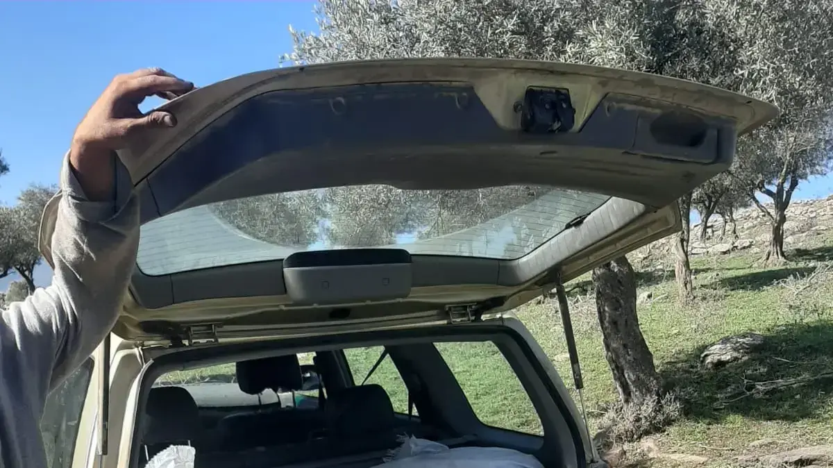 זיתים גנובים בקדיתא. 24 בנובמבר 2020 זיתים גנובים בקדיתא. 24 בנובמבר 2020