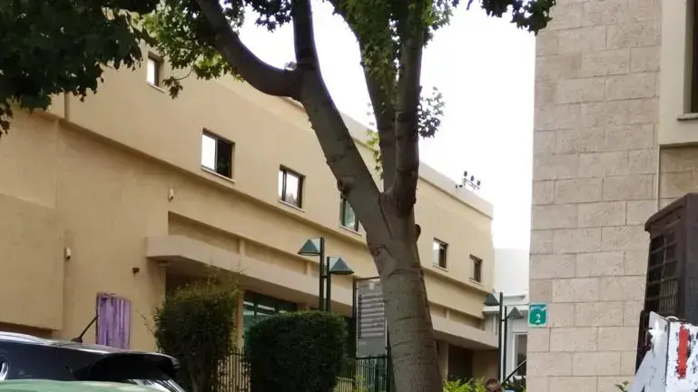 היערכות בנס ציונה למזג האוויר הסוער 25 בנובמבר 2020 היערכות בנס ציונה למזג האוויר הסוער 25 בנובמבר 2020