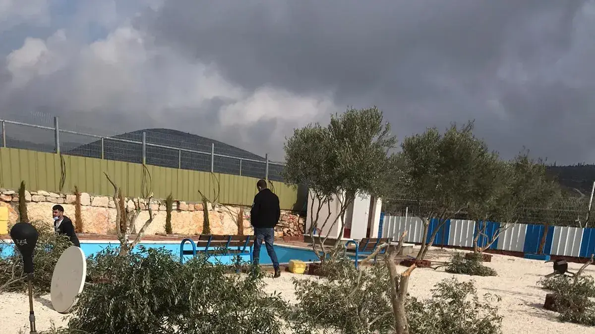 נזק שנגרם לעצי זית בכפר בתורמוסעיא הסמוך לרמאללה, 27 בנובמבר 2020 נזק שנגרם לעצי זית בכפר בתורמוסעיא הסמוך לרמאללה, 27 בנובמבר 2020
